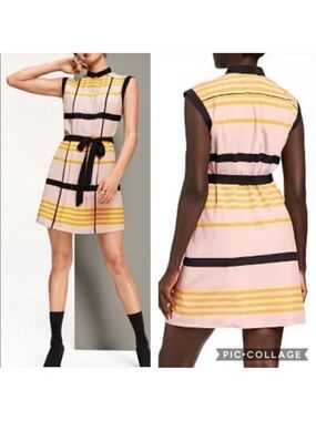 Jason Wu for Target striped dress Sz: XL pink black accordian pleated preppy wow